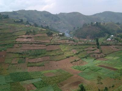 Kisoro/Uganda