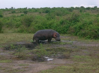 OE National Park
