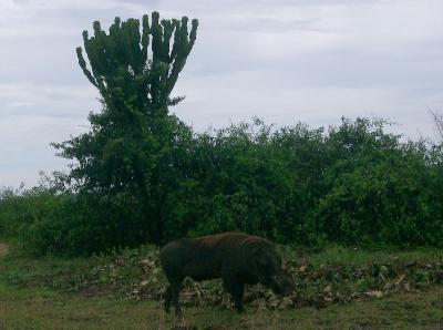 OE National Park