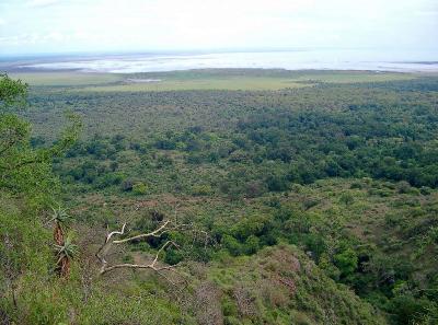 Safari in Tansania