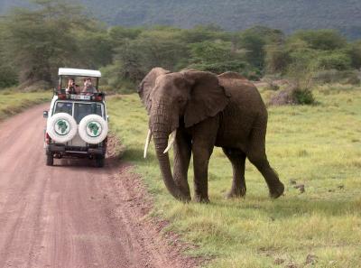 Lake Manyara National Park