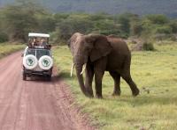 Lake Manyara National Park