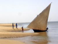 Dhow an der K�ste