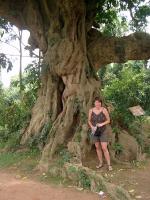 Im botanischen Garten von Entebbe
