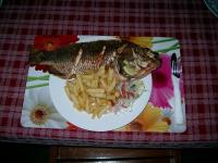 Tilapia-Fisch - frisch gefangen